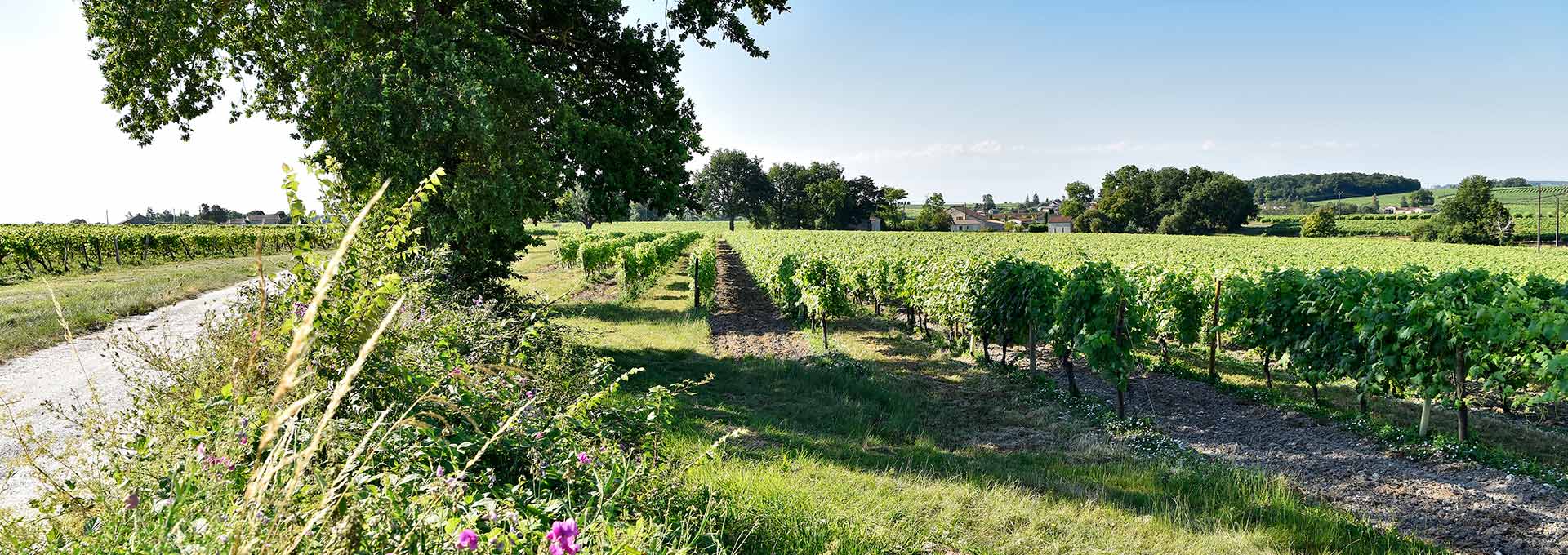 fillioux-slide-4
